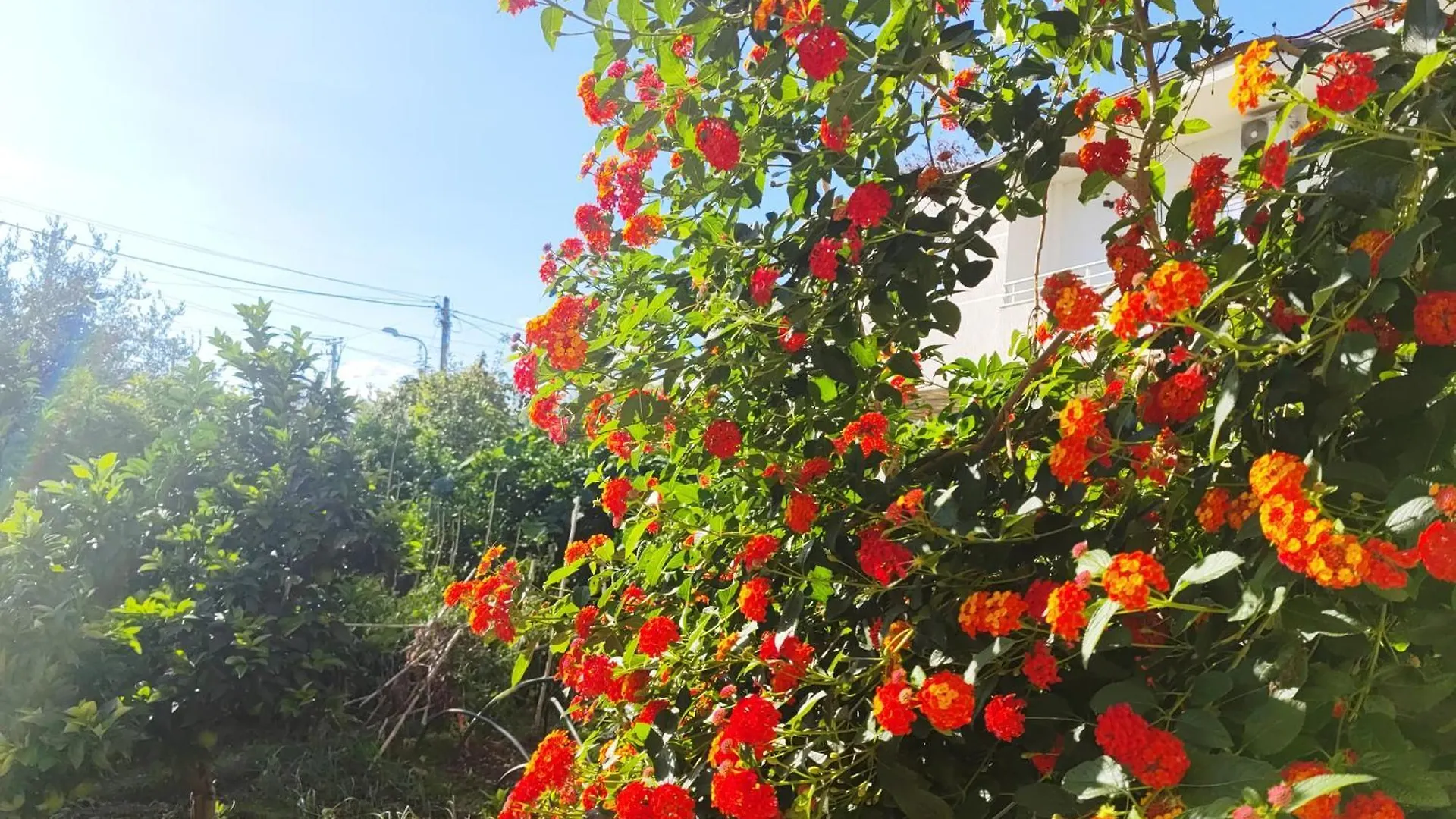 Stone House Hostel Elbasan