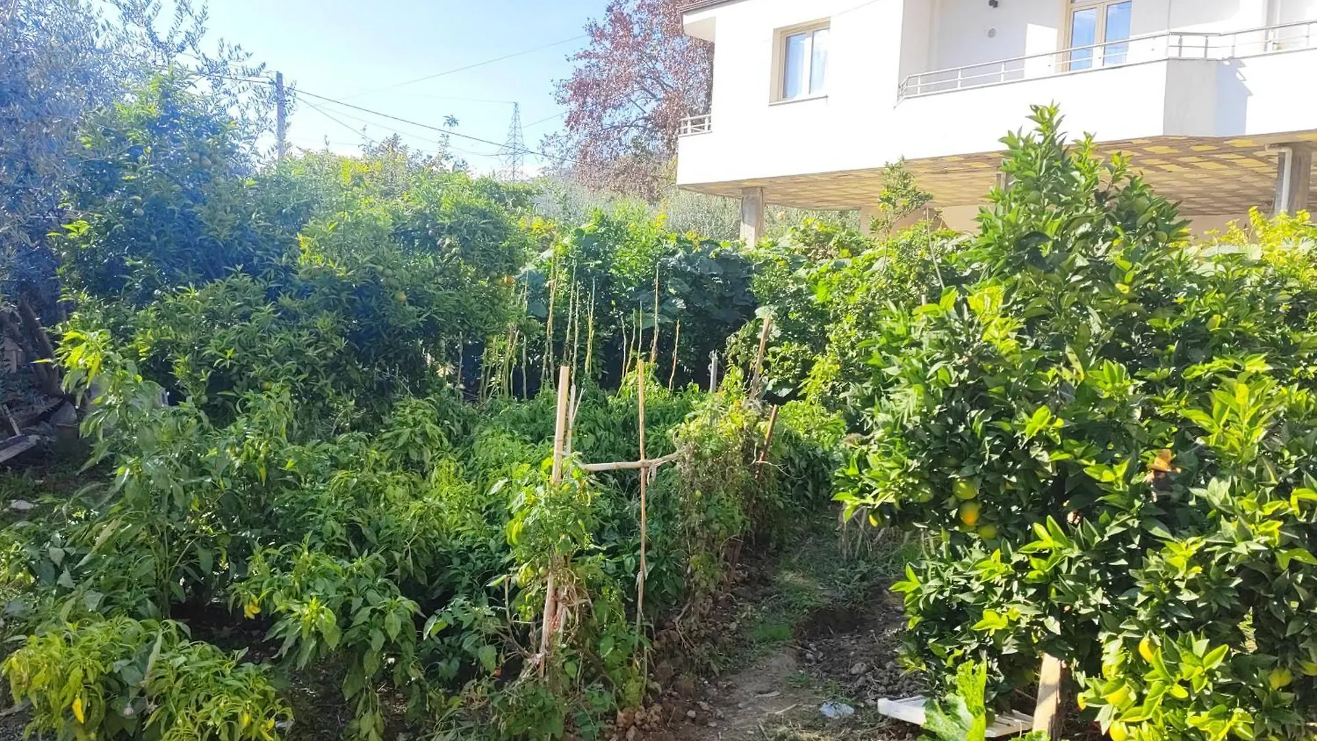 Stone House Hostel Elbasan Albanien